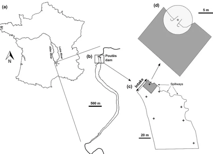 Fig. 1. Location of the Poutès dam (a, b) and boundaries of movement zones (c, d). (b) Poutès reservoir on which the “dam zone” is framed, (c) “dam zone” with, in
