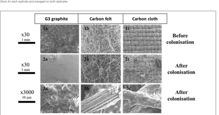 FIGURE 3 | SEM images of G3 graphite, CF, and CC electrode materials before and after biofilm colonization in a dWW-fed reactor.