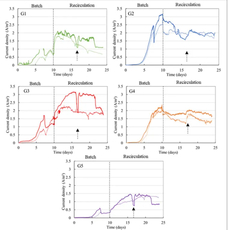 FIGURE 1 | Chronoamperometries (CA) for dWW-fed graphite bioanodes. The reactors were initially conducted in batch mode for 10 days and were then switched to recirculating mode (dashed line) in closed loop with a 2 L tank of hydrolyzed dWW that is renewed 