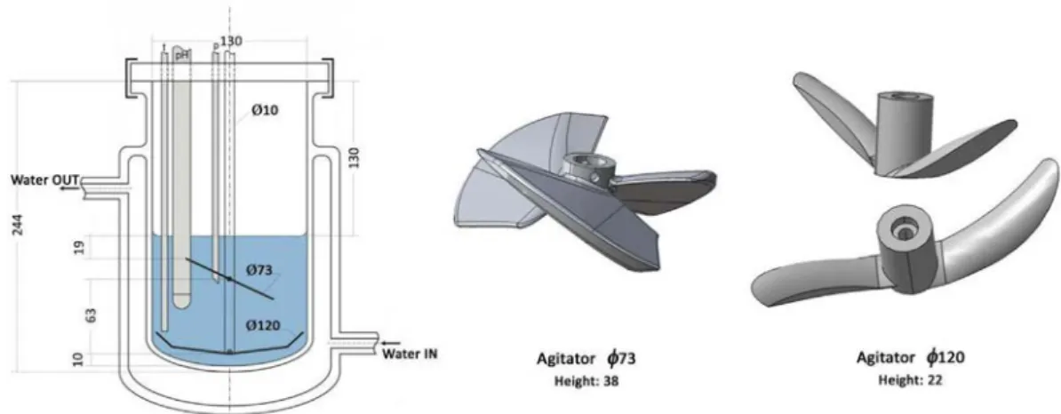 Fig. 2. Con ﬁguration of bioreactor and impellers (dimensions in mm).