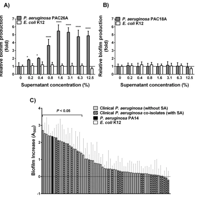 Figure 1. S. aureus biofilm stimulation by clinical P. aeruginosa supernatants. S. aureus CF1A-L biofilm production in response to culture supernatants from clinical isolates of P