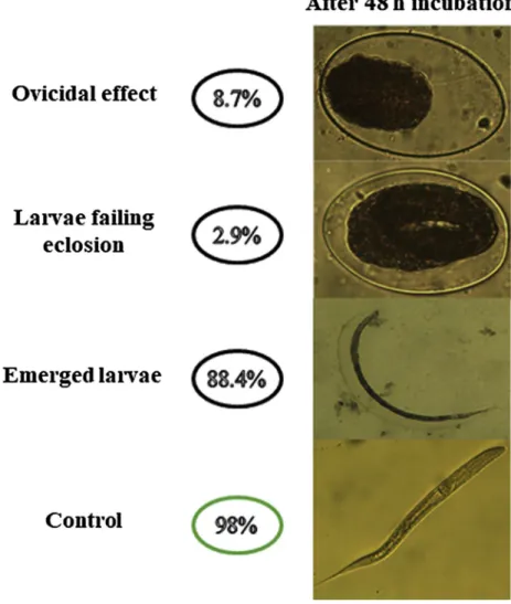 Fig. 3. Anthelmintic activity of p-Coumaric acid against Haemonchus contortus eggs and emerged larvae after 48 h incubation.
