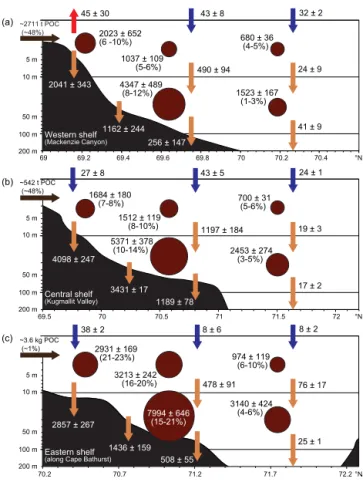 Figure 6. Three-dimensional view of the Mackenzie Shelf region