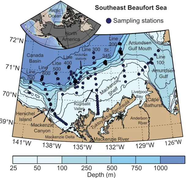 Figure 1. Map of the Mackenzie Shelf region (Beaufort Sea, Arctic Ocean) with position of sampling stations visited in July–August 2009
