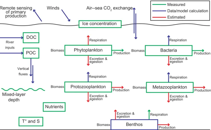 Figure 2. Diagram showing which variables have been directly measured on the field during ArcticNet–Malina, versus which ones have