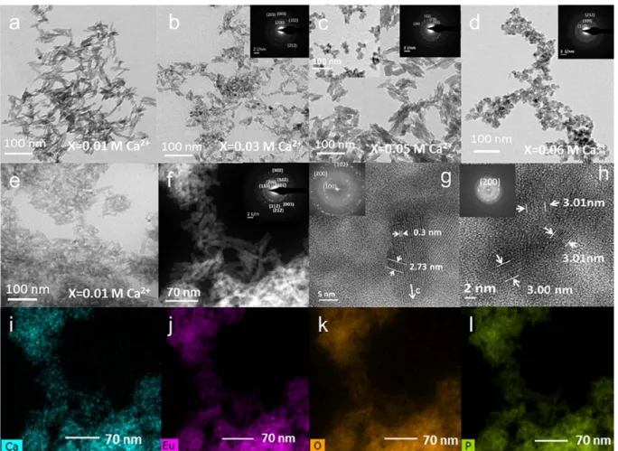 Fig. 3. ( a-d) TEM micrographs of Ca-&lt;loped cit-EuP0 4 -�O nanoparticles  prepared with dilferent Ca 2+  doping concentrations at 96 h: (a) 0.01 M; (b) 0.03 M; ( c) 0.05 M and ( d)  0.06 M