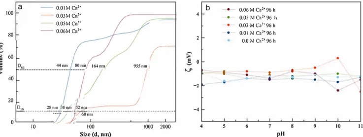 Fig. 5.  (a) Cumulative volume oversize distribution of the Ca-doped cit-EuP0 4 -nHzO nanocrystals prepared at  96  h
