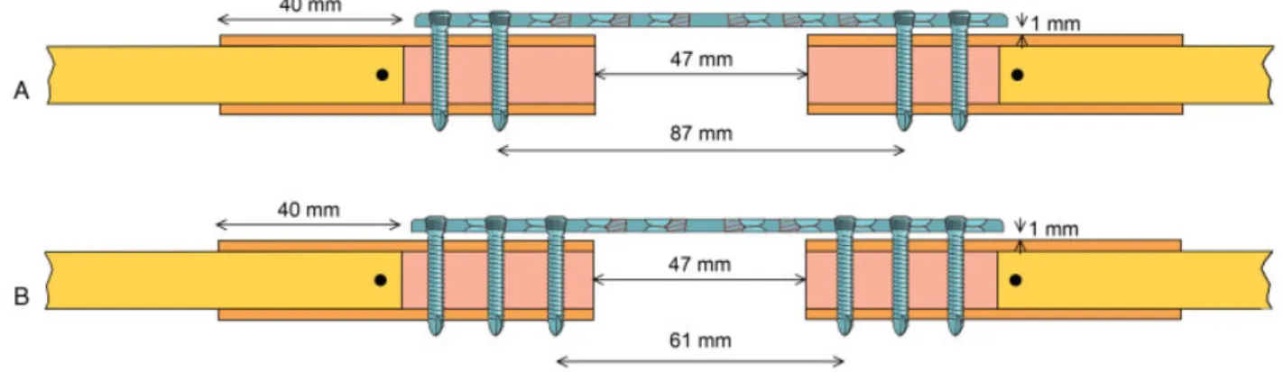 Fig. 1  Illustration of the two constructs. A 10 hole 3.5  mm stainless steel locking compression plate (LCP) with 3.5  mm self tapping locking  screws was positioned on the bone substitutes