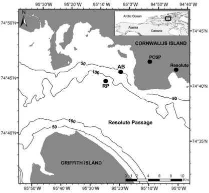 Figure 1. Map of the ice camp location in Resolute Passage (RP) in 2010 (74  42.6 0 N; 95  15 0 W) and in Allen Bay (AB) in 2011 (74  43 0 N