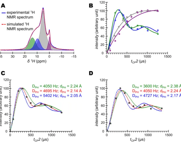Figure 3.  Determination of  31 P- 1 H internuclear distances within the acidic phosphate species present in bone 