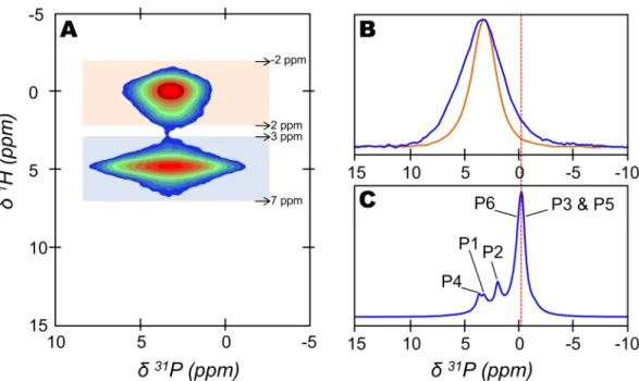 Figure 4.  Implication of octacalcium phosphate (OCP) in the non-apatitic environments of bone mineral
