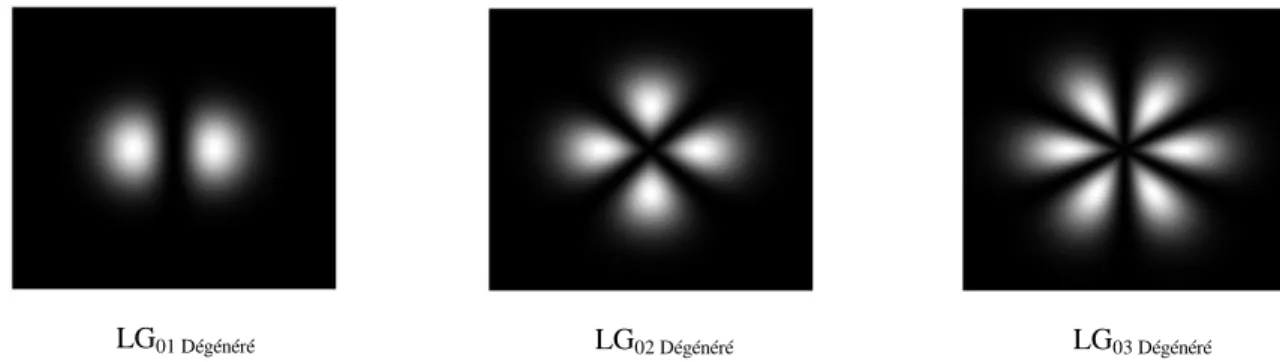 Fig. II.2.2 Distribution en contour des profils d'intensité des modes azimutaux dégénérés