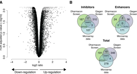 FIG 4 miR-142-3p regulates VAMP3. (A) Microarray chips were used to define the genes regulated by miR-142-3p