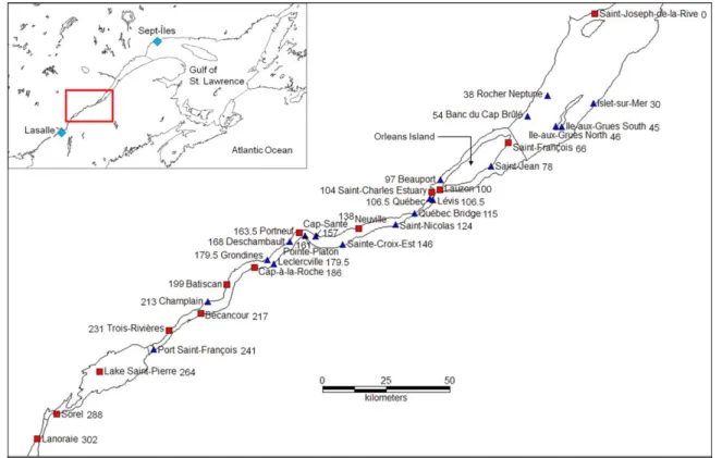 Figure 1. Map showing tide gauges in the St. Lawrence ﬂuvial estuary: (red squares) analysis stations; (blue triangles) validation stations; (light blue diamonds) reference stations for ocean tidal range (Sept-^Iles) and river discharge (Lasalle)