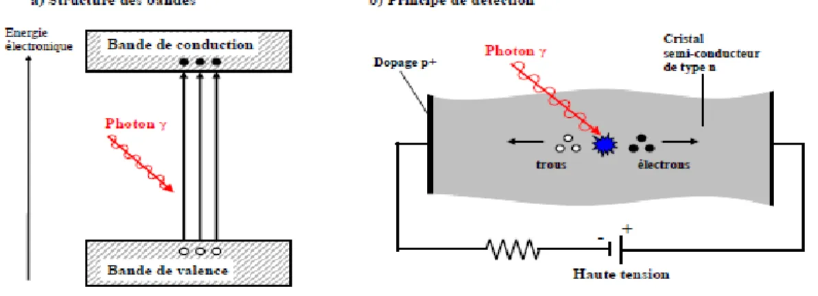 Figure 11. Principe du semi-conducteur : structure des bandes et fonctionnement  [Pirard, 2006]