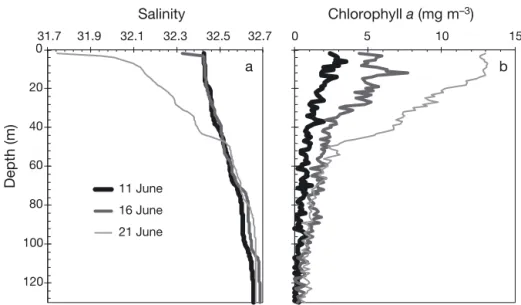Fig. 7. Water column profiles of (a) salinity and (b) chlorophyll a (via in