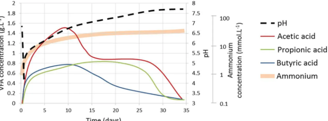 Fig. 3 shows the altered depths of the cement pastes after 5 weeks (one digestion cycle) and 10 weeks (two digestion cycles) of immersion in the digesting biowaste