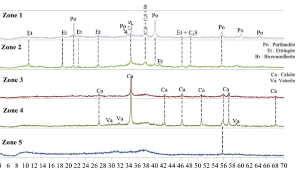 Fig. 6. Mineralogical analysis by XRD of CEM I paste immersed for 5 and 10 weeks.