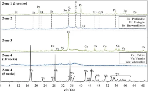 Fig. 8. Mineralogical analysis by XRD of the CEM I-Ox paste immersed for 10 weeks and 5 weeks (zone 4).