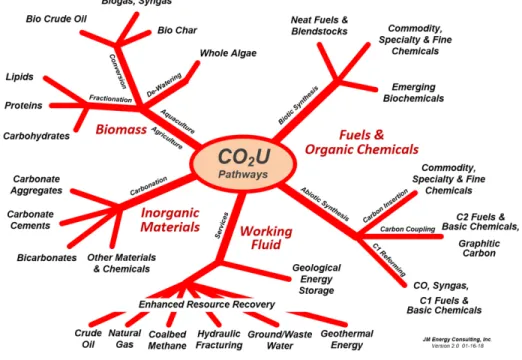 Figure 9-1. CO 2  Use Pathways 