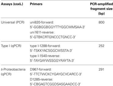 Table 2 | List of the primers designed in this study.