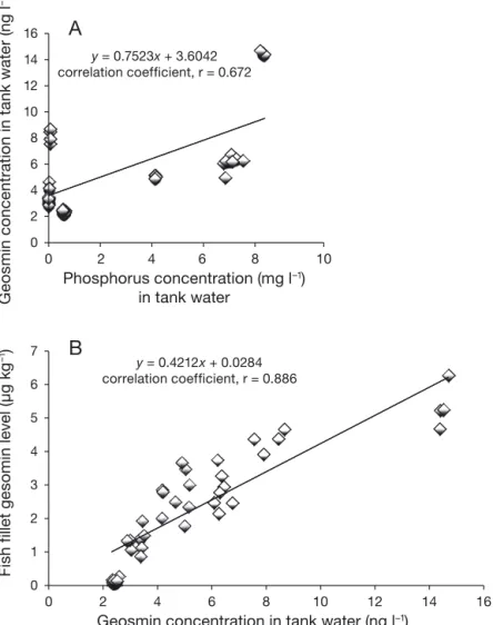 Fig. 4. Oncorhynchus mykiss. Linear correlations between (A) the phosphorus and geosmin concentrations in tank water and (B) the geosmin concentration in tank water and that in fish fillets from the feeding trial where fish received low-phosphorus (LP) and