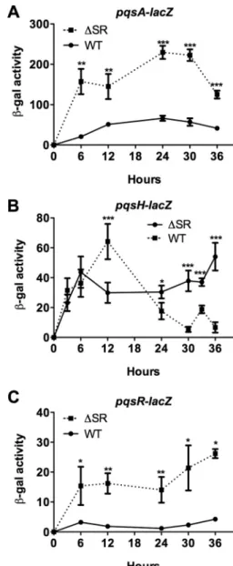 FIG 2 Expression of pqsA, pqsH, and pqsR are increased in the ⌬SR mutant.