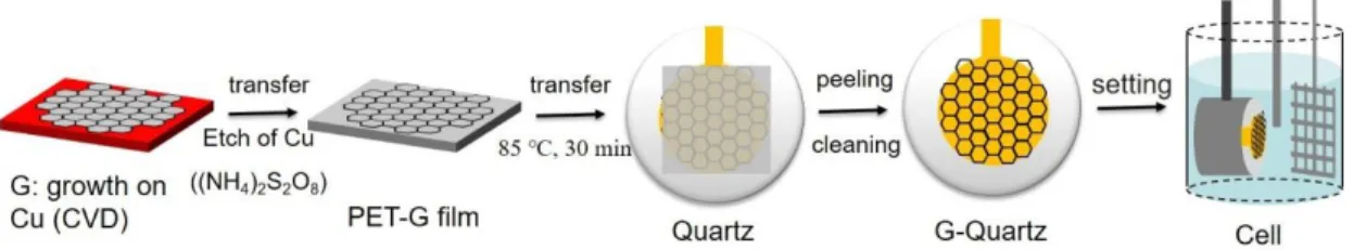 Figure S1. Transfer process of single layer graphene on Au-coated quartz substrate. 