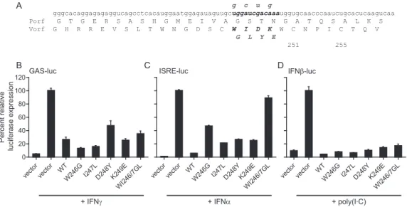 FIG 1 Characterization of a STAT2blind V protein without alteration of the P open reading frame (Porf)