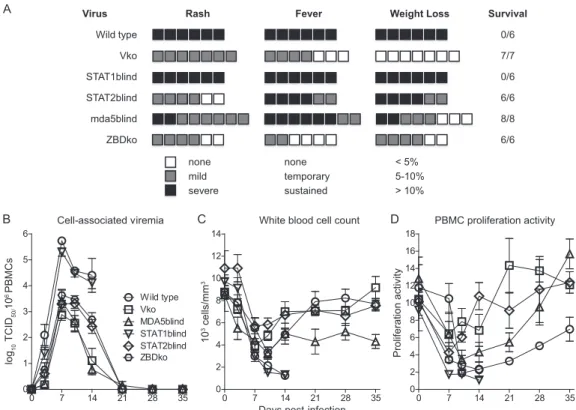 FIG 6 Virulence of P/V mutant viruses. Groups of six to eight animals were inoculated intranasally with 10 5 TCID