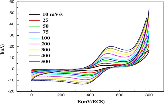 Figure III.4. Voltamogramme de Cu(II)-L 10 -3  M dans le DMF  + TBAP 10 -1  M, sous  atmosphère d’azote à différentes vitesses de balayage : 500 à 10 mV/s 