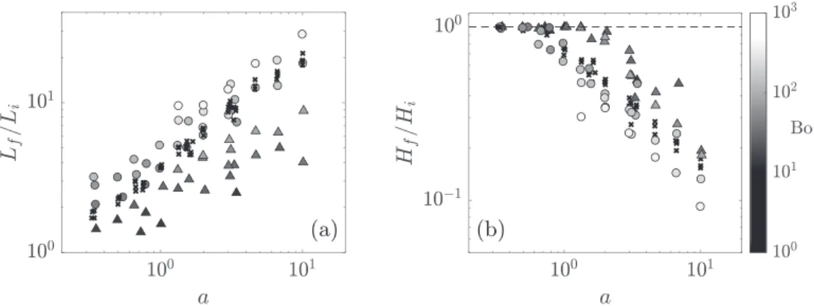 FIG. 5. (a) Runout length L f /Li and (b) final height H f /Hi as a function of the initial aspect ratio a =