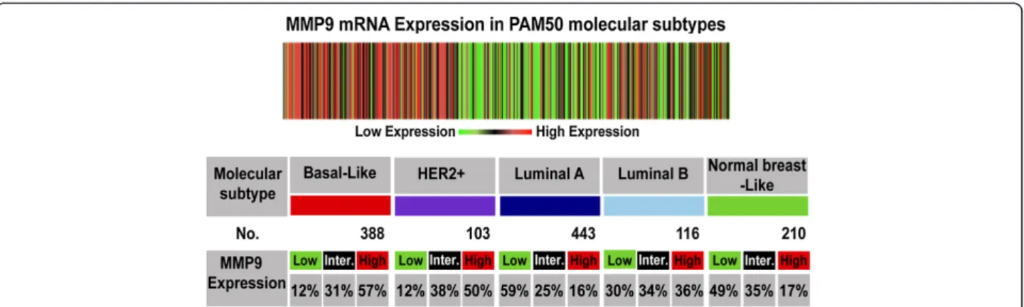 Figure 1 In silico analysis of MMP-9 mRNA expression in breast cancer subtypes. The heat map and table are produced from the bc-GenExMiner database v3.0 showing the expression of MMP-9 at mRNA level in different molecular subtypes of breast cancer as deter