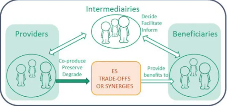 Figure 1. The conceptual framework used in this study. 