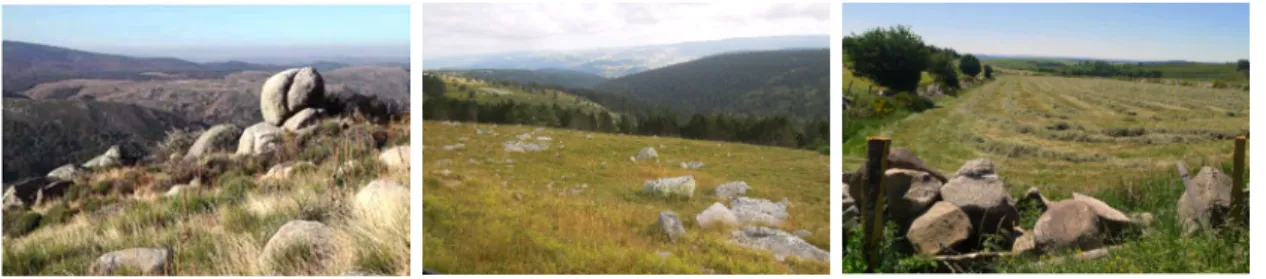 Figure 2. Granite rocks on natural outcrops (left), on grassland (middle), and after rock removal in a 