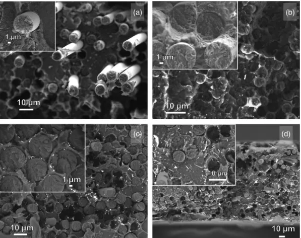 Figure 3. Cryofracture of (a) PAEK/CF unsized, (b) PAEK/CF PEI ; (c) PAEK/CF sized with PEI + AgNpts conductive sizing