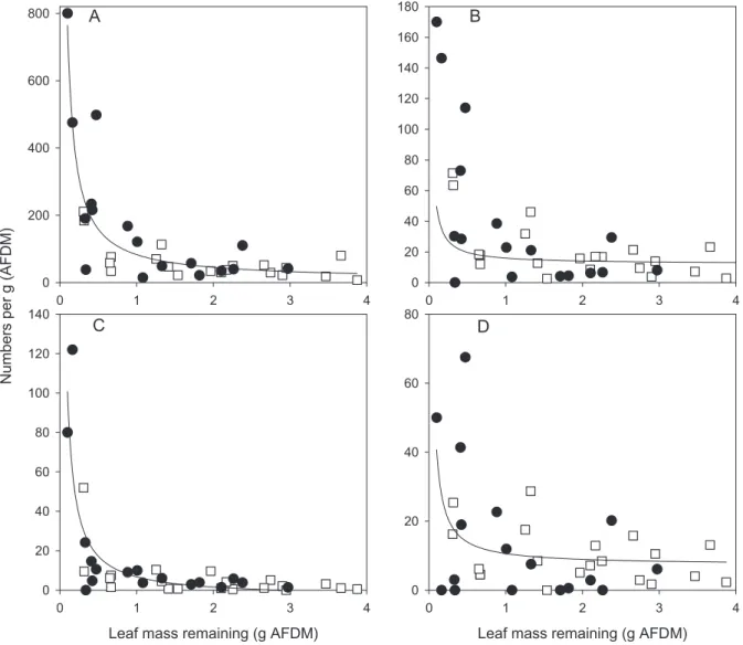 Fig. 3.  Numbers of invertebrates per g AFDM of beech leaf litter for total invertebrates (A), total shredders (B), cased caddisflies 