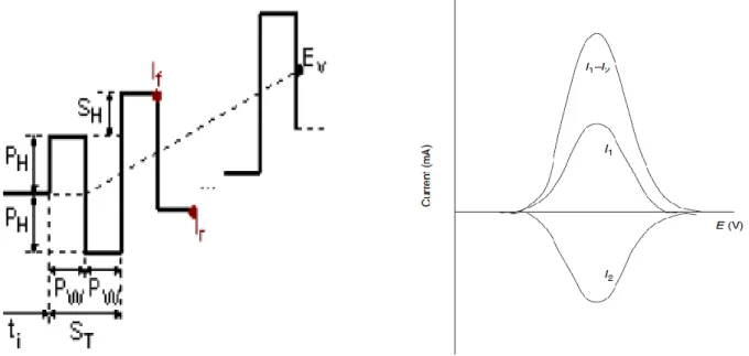Figure I.10: Schémas de potentiel appliqué et de voltampérogramme obtenu dans la SWV. 
