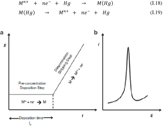 Figure I.11 : Schémas de potentiel appliqué et de voltampérogramme dans l’ASV [51]. 