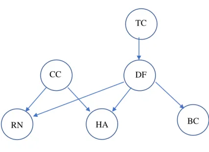 Figure 5.1 Diagnostic Graph 
