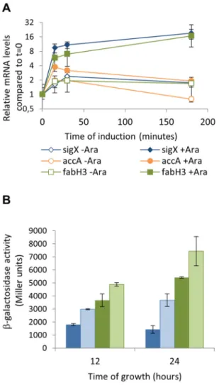 Figure  5.    Lower  levels  of  overexpression  and  natural induction  of  sigX  induce  target  genes