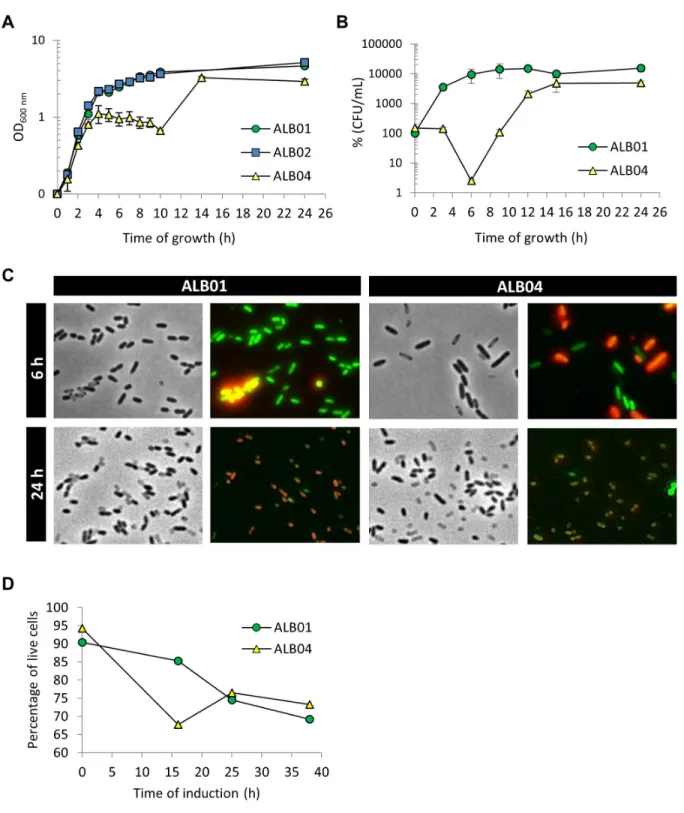 Figure  2.    SigX  overexpression  alters  growth  and  morphology  of  P.  aeruginosa