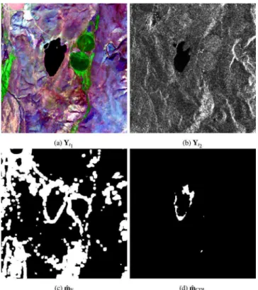 Fig. 9. Real images affected by real changes without ground truth, Scenario 3 (different spatial resolutions): (a) Sentinel-1 SAR image 
