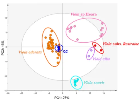 Fig. 6 PCA score plot of UHPLC-HRMS-ESI-NI/PI combined dataset from violets leaf extracts (in colour)