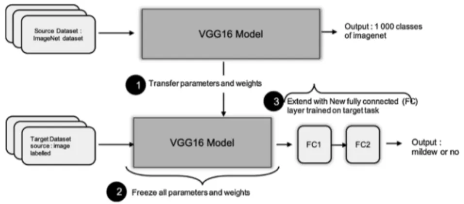 Fig. 4. Proposed approach for feature extraction.