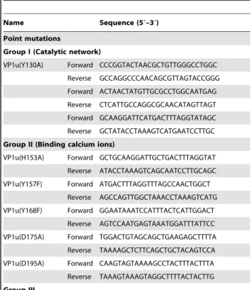 Table 2. Primers used to construct B19 VP1u point mutations and truncated VP1u.