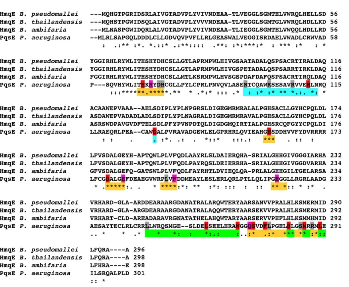 Figure 1. Sequence alignment of PqsE with three HmqE homologues from Burkholderia . Alignments were performed with ClustalW2 [26]