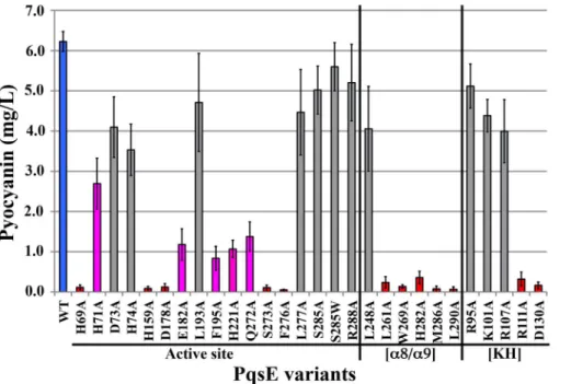 Figure 6. Pyocyanin production of a P. aeruginosa PA14 pqsE 2 strain transformed with WT PqsE and 28 mutational variants of PqsE