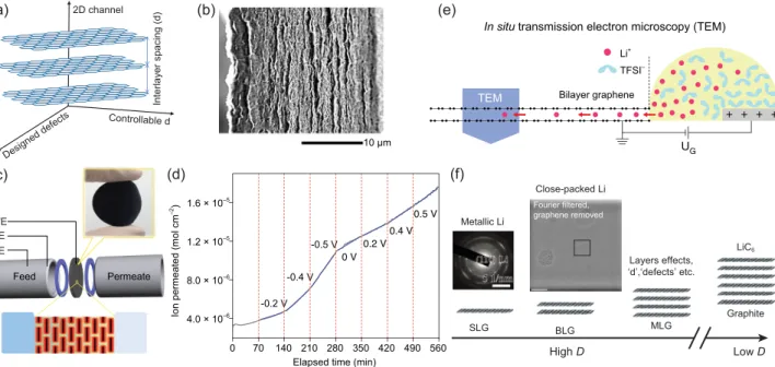 Figure 4. (a) 2D ionic channels among graphene stacking. (b) Typical SEM image of cross sections of a graphene film containing layer-like channels for