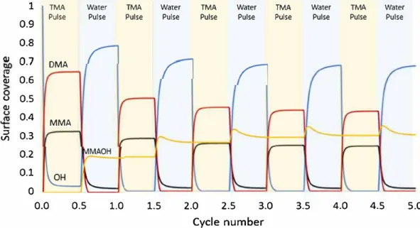 Fig. 5. Model  predictions of the surface coverage evolution of the four stable surface species during the 5 first simulated cycles in simulated experiment 3